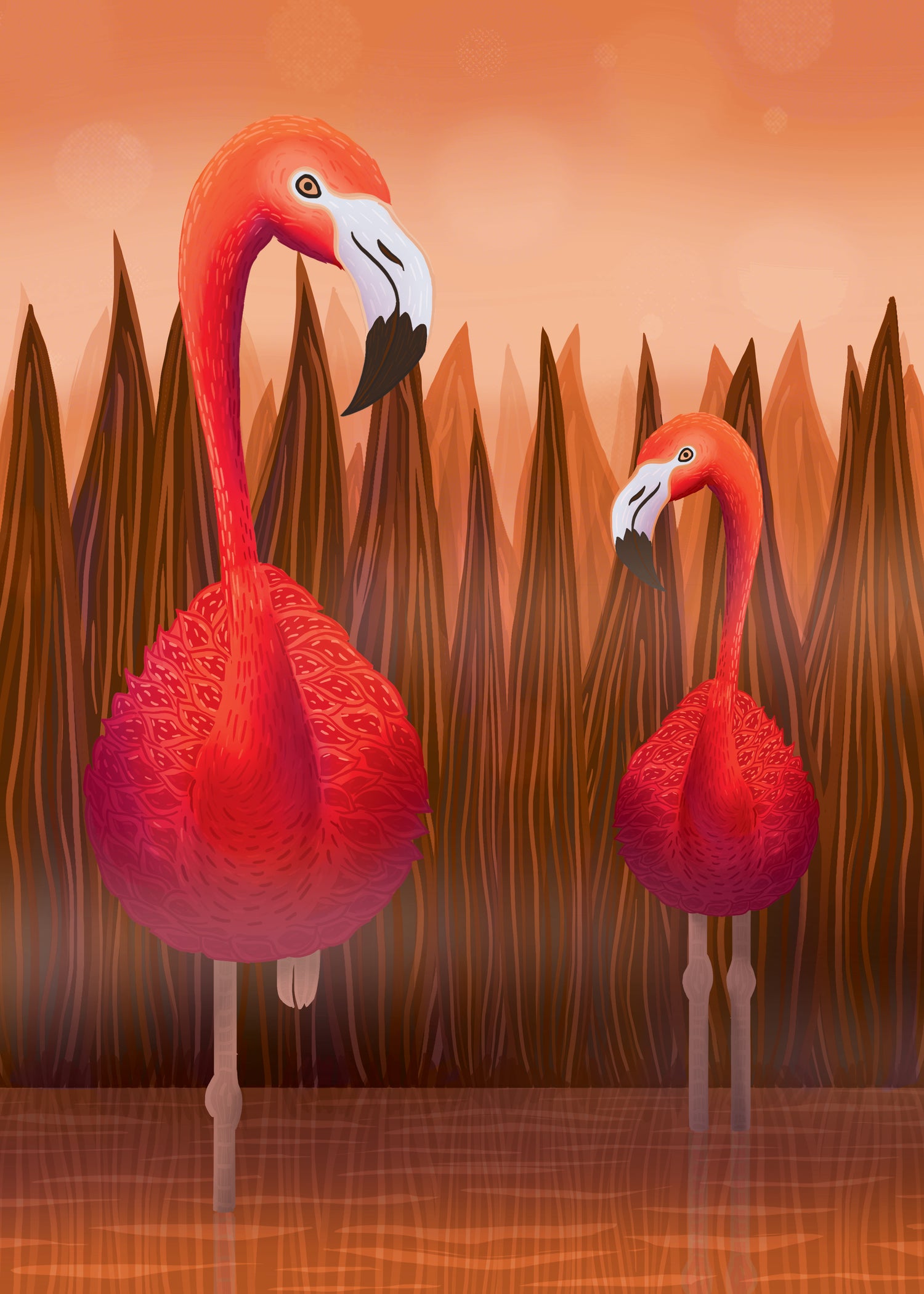 Flamingos